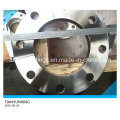 JIS B2220 Sop Slip on Plate Aço Inoxidável Forjado Flange